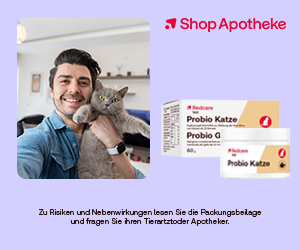 Jetzt Cashback-Erhöhung sichern!