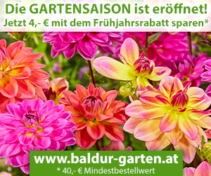 4€ Rabatt ab 40€ MBW
