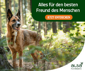 15% Rabatt auf Hundezubehör
