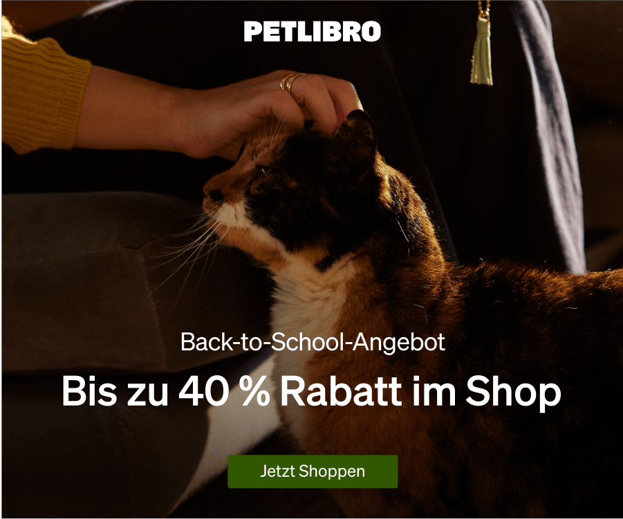 Back-to-School-Angebot: Bis zu 40% Rabatt